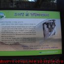 솔고개로 이미지