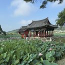 연지식당 이미지