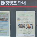 책과영화의 만남 | [강원 영월 여행] 영화 '왕과 사는 남자' 배경 단종 유배지 청령포 주말 방문 후기 (주차 / 대기팁)