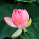 어느가을 오후 이미지