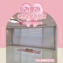 구미대로 | 구미 광평푸르지오 우드&amp;롤블라인드 설치 후기