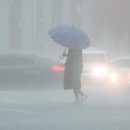 피트니스 890 이미지