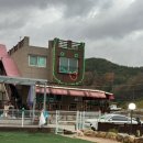 웰컴독 (welcome dog) 이미지