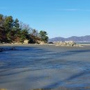 시든물해변 Daum카페