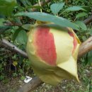 선희농장 이미지