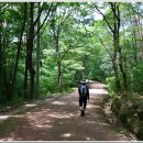 갈맷길(7코스) 이미지