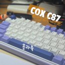 축 제 | 앱코 콕스 기계식 키보드 COX C87 용과축 도각도각 조약돌 사무실