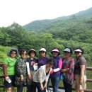 은숙농장 이미지