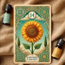 기혈 순환 마사지 이미지