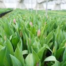 유동농장 이미지