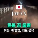 2025 일본 곰 출몰 역대 최대 훗카이도 삿포로 곰 지도 공유 및 예방법 총정리
