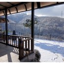 바우바우 | 서울 근교 애견펜션 반려견과의 특별한 힐링 여행, 바우바우애견펜션 후기