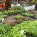 대원농장2 이미지