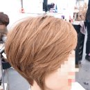 비비헤어비스 이미지