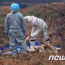 충남위생방역 뉴스1