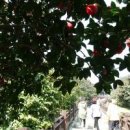 해지게길 이미지