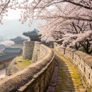 인천대공원(식물원 뒤) 이미지