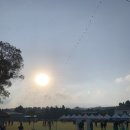 올레민박 | 참여하지 못 한 꼬닥꼬닥 올레 2025 제주올레 걷기축제를 아쉬워하며 지금까지 추가로 걸은 올레길 후기