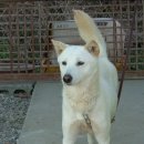 칠전농장 이미지