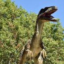 벨로시랩터 이미지