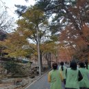 머니스테이 팔공산점 | [템플스테이 체험후기] 대구에서 접근성이 좋은 &#39;동화사 템플스테이(체험형)&#39; 체험 후기 (1)