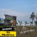 소풍길 | 양산맛집 백동소풍가는길 돼지갈비맛집 재방문후기