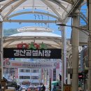 공설야채
