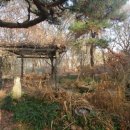 내곡동450 이미지