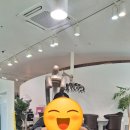 로이드밤 안양 호계점 네이버블로그