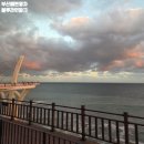 블루파크 | 부산 해변열차 해운대블루라인파크 후기(예약/코스추천/시간추천)