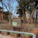 도토리 강아지 유치원 이미지