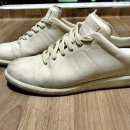 화이트 독 이미지