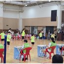 한국체대 석사 태권도장 이미지