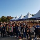 창의융합 코딩 엔트리 이미지