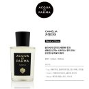 더카멜리아아틀리에 이미지