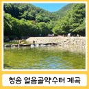 얼음골약수터 | 청송 얼음골약수터 계곡에서 여름 물놀이