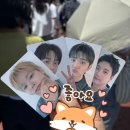 광일슈퍼 - 강남구 | 루시 콘서트 다녀왔어욤