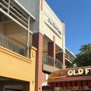 황금로 23번길 | 운전으로 가득한 10월🚗☁️