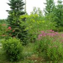 판교농장 이미지