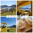 다대어촌체험휴양마을 | '바람의핫도그 본점' 노랑 버덩이 주는 거제 노란 감성