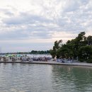 월드 C.C 이미지