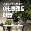 아난플랜트마켓 고양 화훼단지 일산꽃집 추천