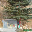 월문6리 이미지