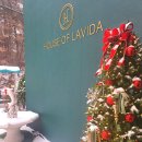 별빛그린하우스 이미지