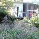 밤하늘에저별처럼 농장 이미지