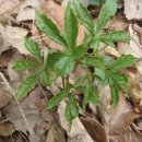 보운농장 이미지