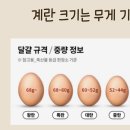 에그24 이미지