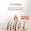 에코스 | [내 돈 내산] 에코스라인 케라틴 베그 헤어 마스크팩 후기