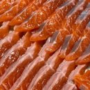 평창약수송어회 이미지