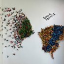 자연공원 이미지